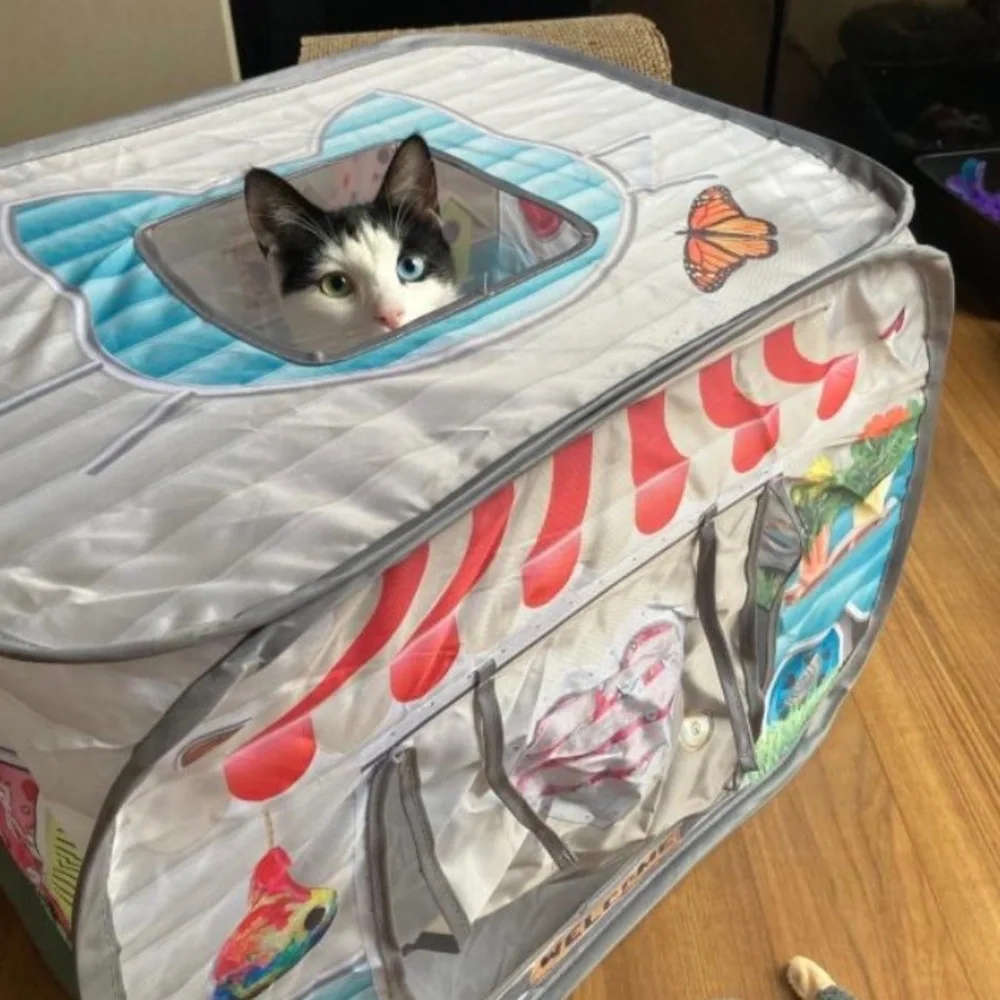 NWT! Cat Kitten Camper With Door, Window & Sunroof Toy with Catnip